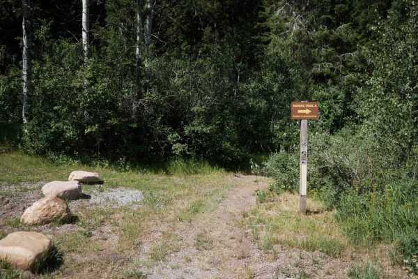 Trail Canyon #5254