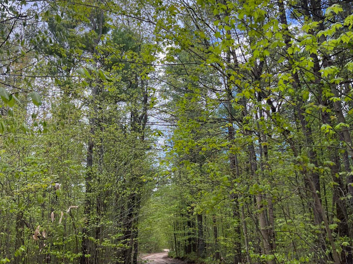 N 23-1/2 Trail photo 6
