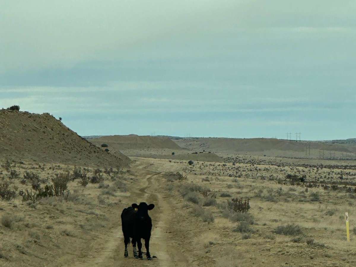 South Pipeline Road photo 4