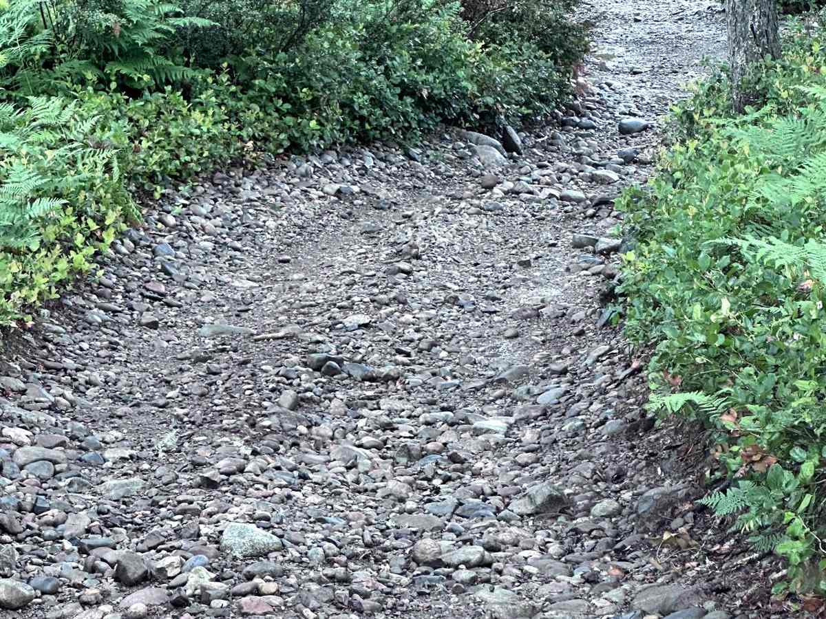 84 N Trail photo 4