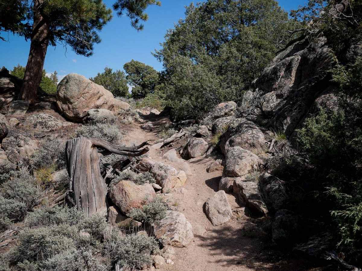 Outback photo 2