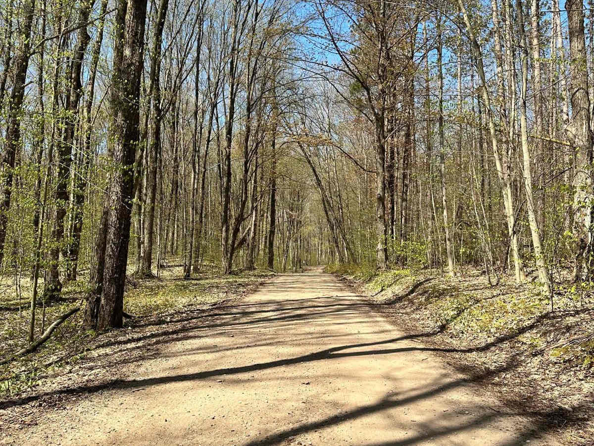 Cadillac Area ORV/OHV Scenic Ride - Part 14 photo 6