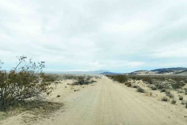 Black Mountain Wilderness Route