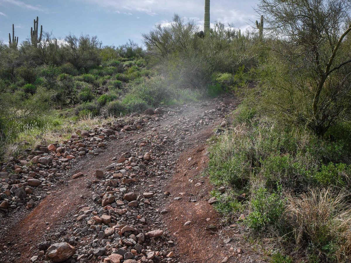 Shoemaker Spring Access Trail photo 4