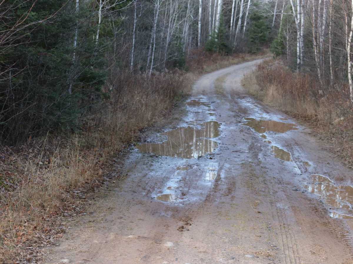 Swan Rd photo 3