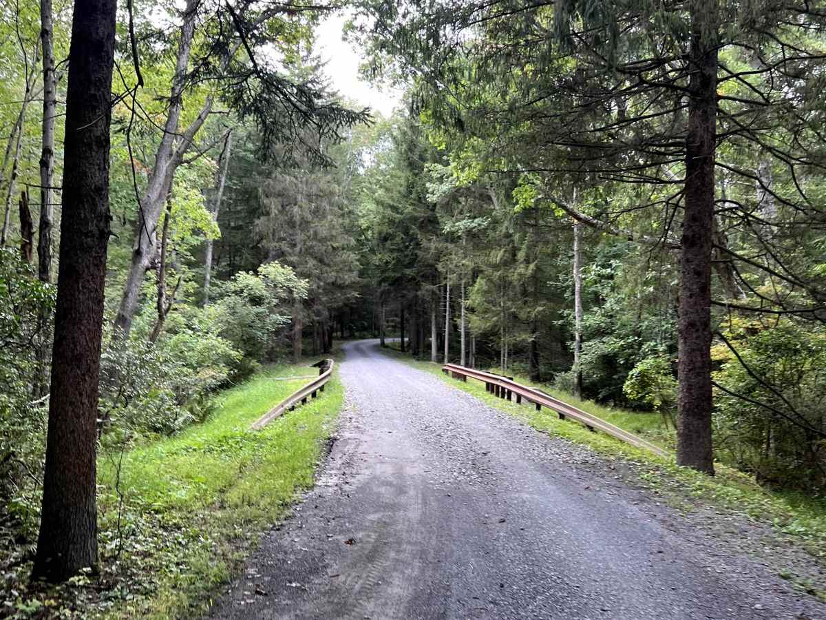 White Oak Ramble photo 5