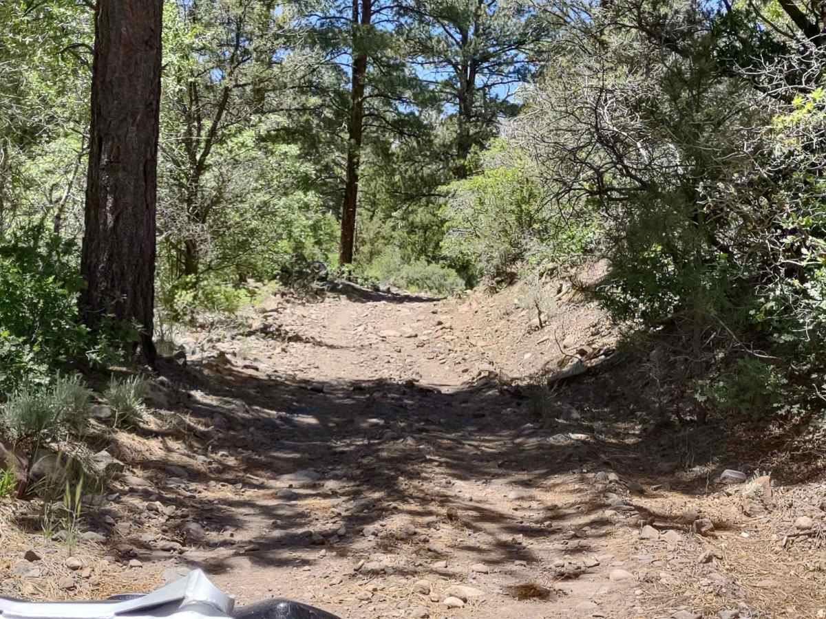 Oak Basin (FS# 40144) photo 6