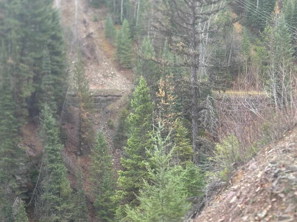 Old Highway 2 photo 4