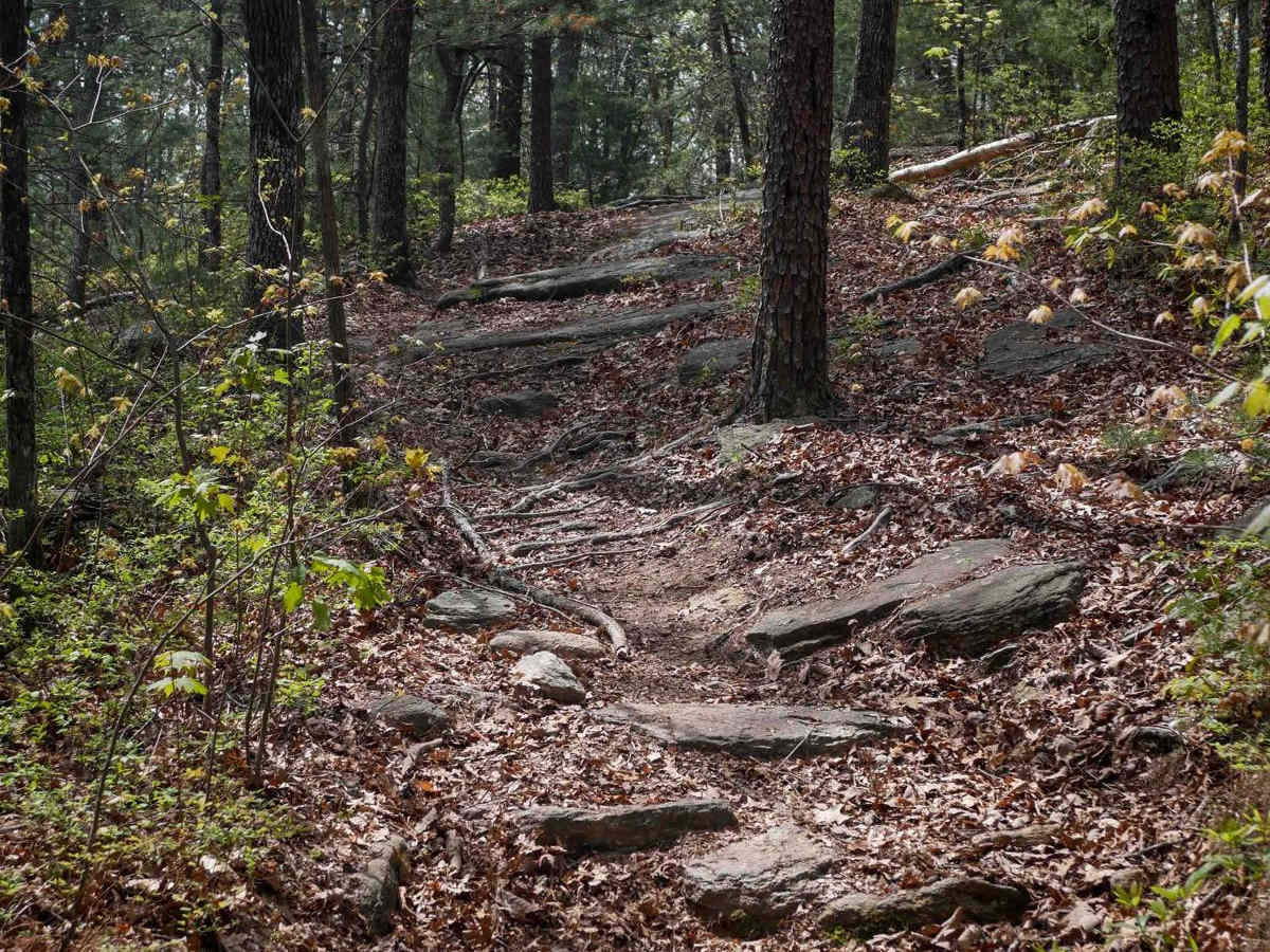 Trail 7 Richard's Bypass trail photo