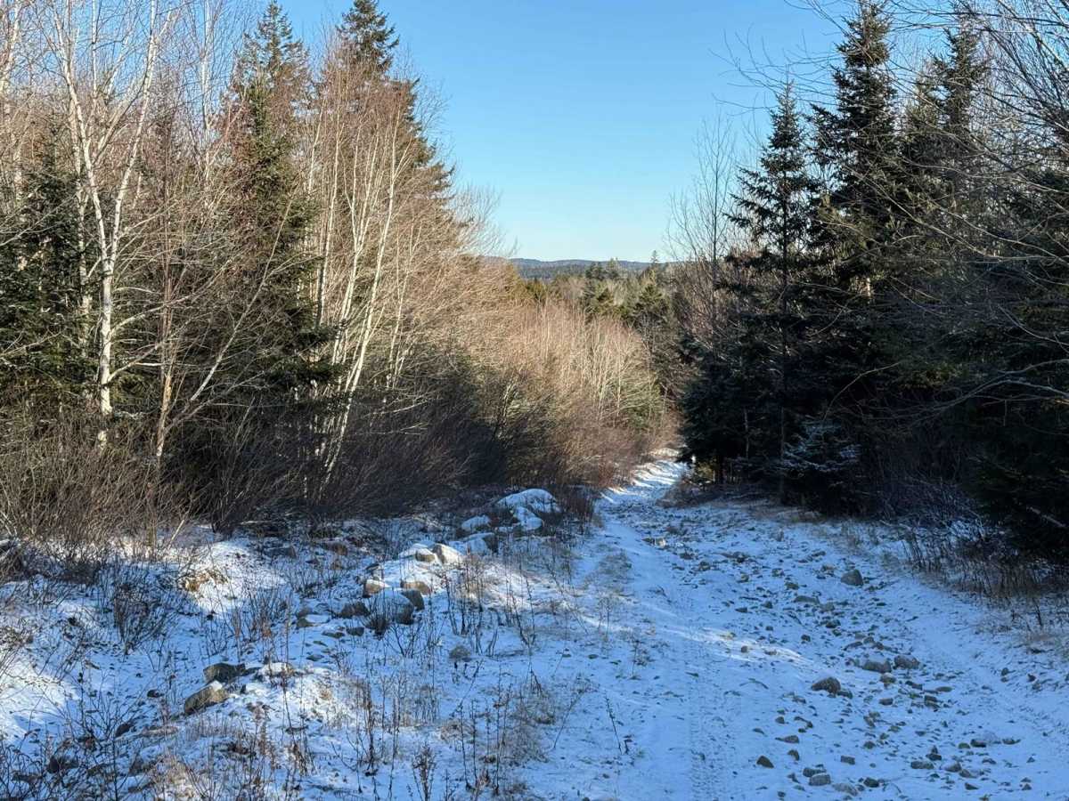 Dynamite Trail trail photo
