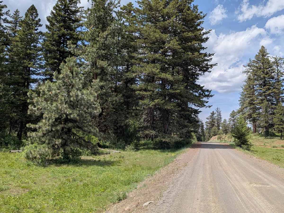 Wellamockin Road North NF46 photo 3