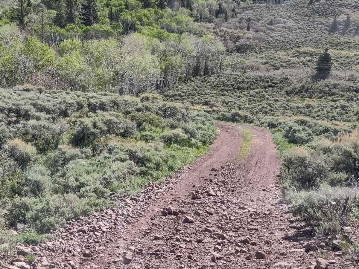 FS #41185 Extension (50" Trail) photo 3
