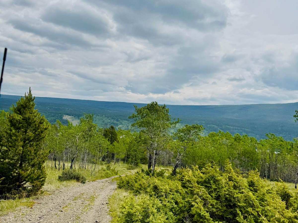 Tsuniah Lake Recreation Site FSR trail photo