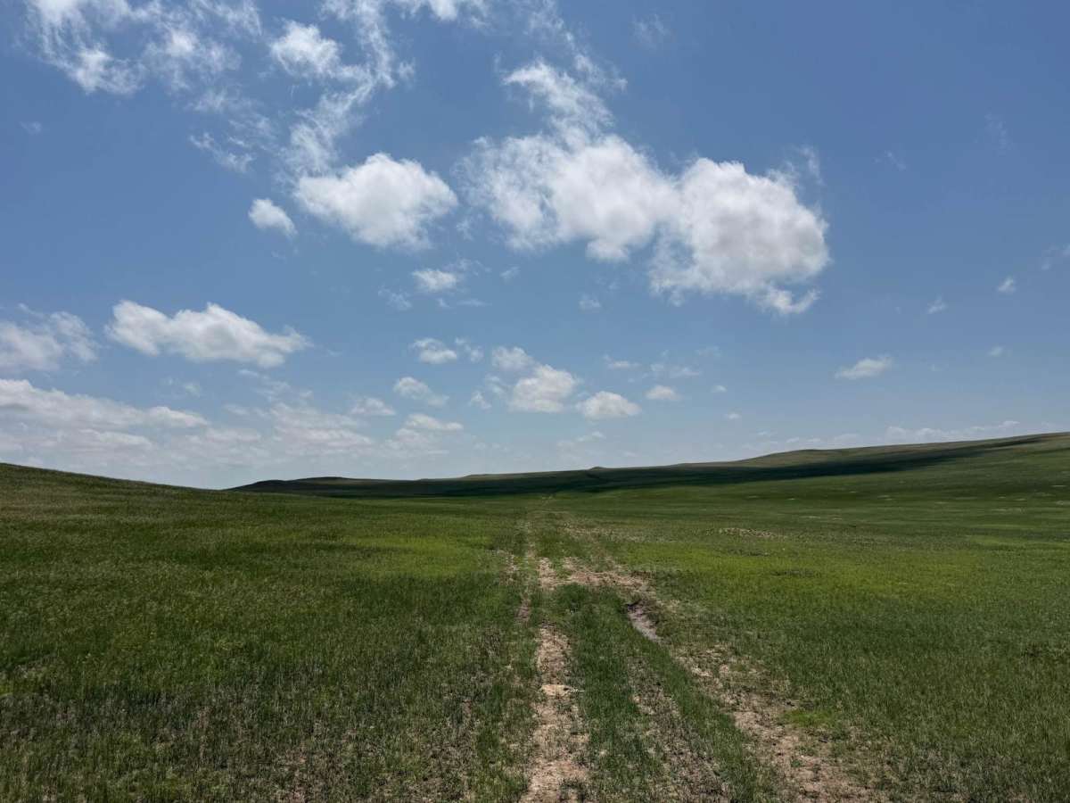 Conklin - FR 924 trail photo