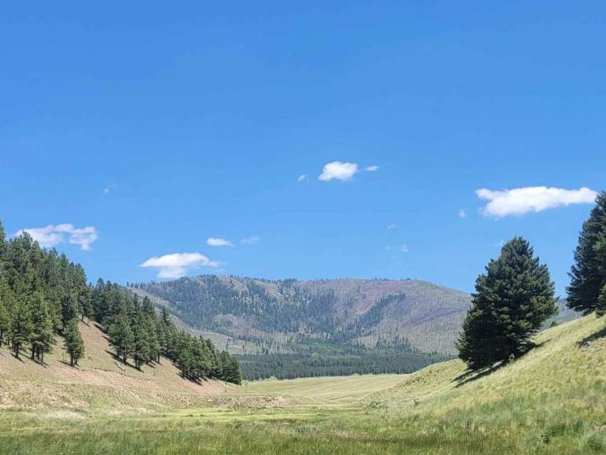 Valle Toledo Road trail photo