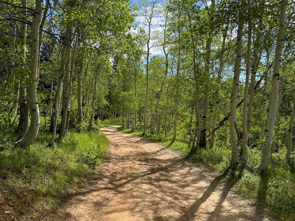 Dairy Ridge trail photo