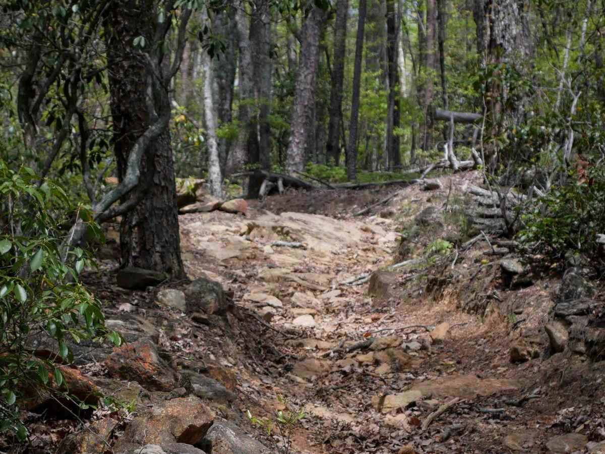 Copperhead Trail B trail photo