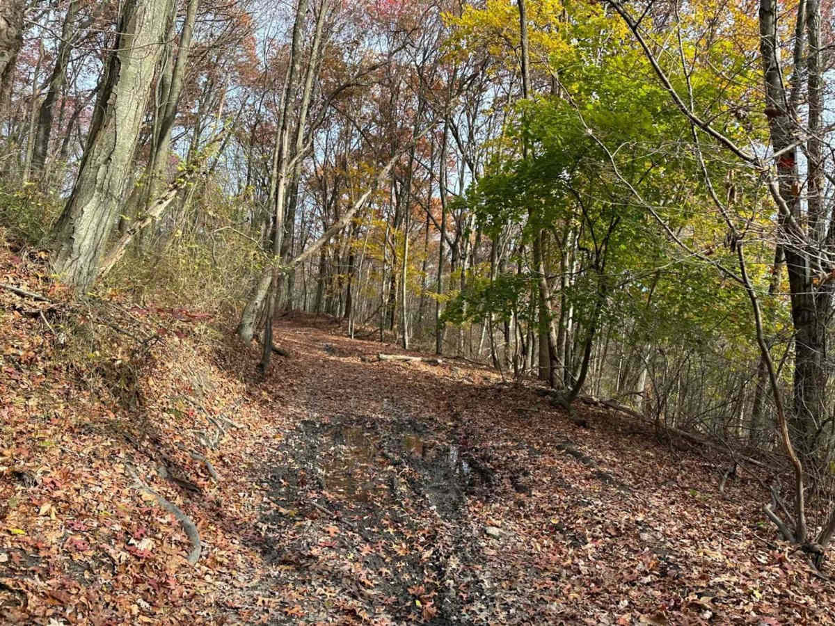 Ashland 149 trail photo