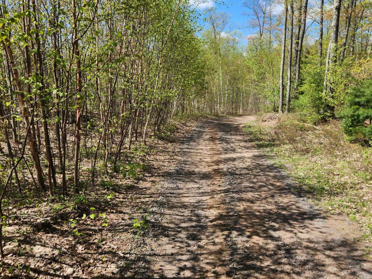 Bayfield Timber Trail trail photo