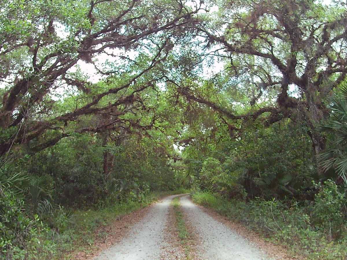 4 Sections Road photo 3