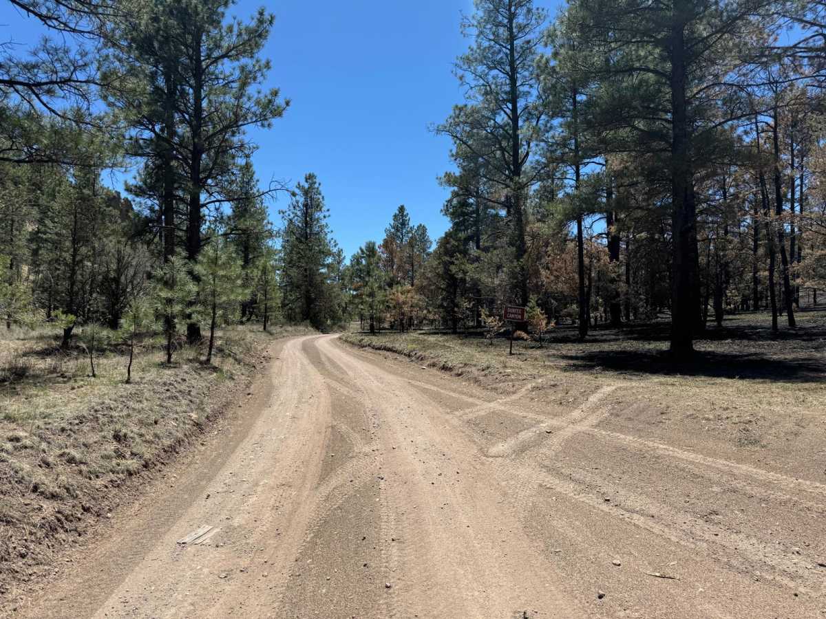 Old Canyon FR 220 photo 5