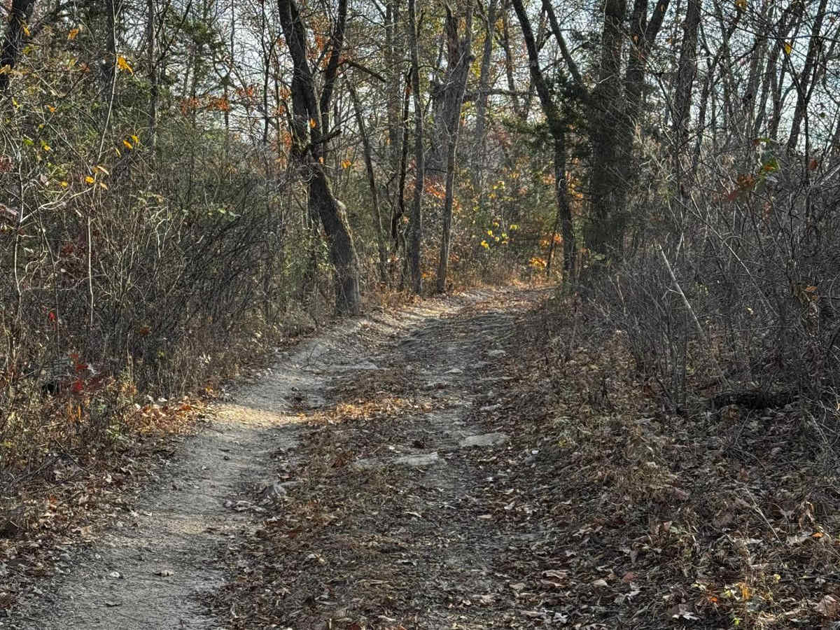 Grinch trail photo