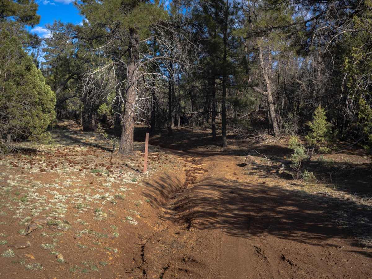 Robbins Way Down photo 6