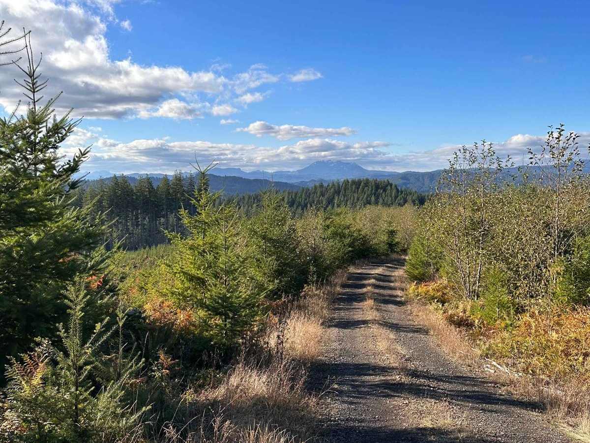 Wage to Walker Ridge trail photo