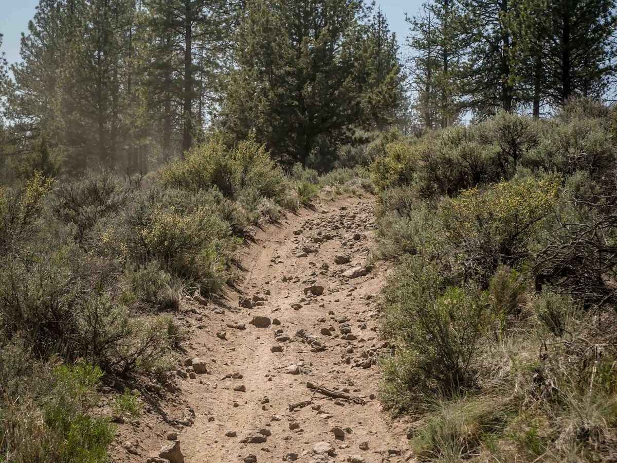 18 trail photo