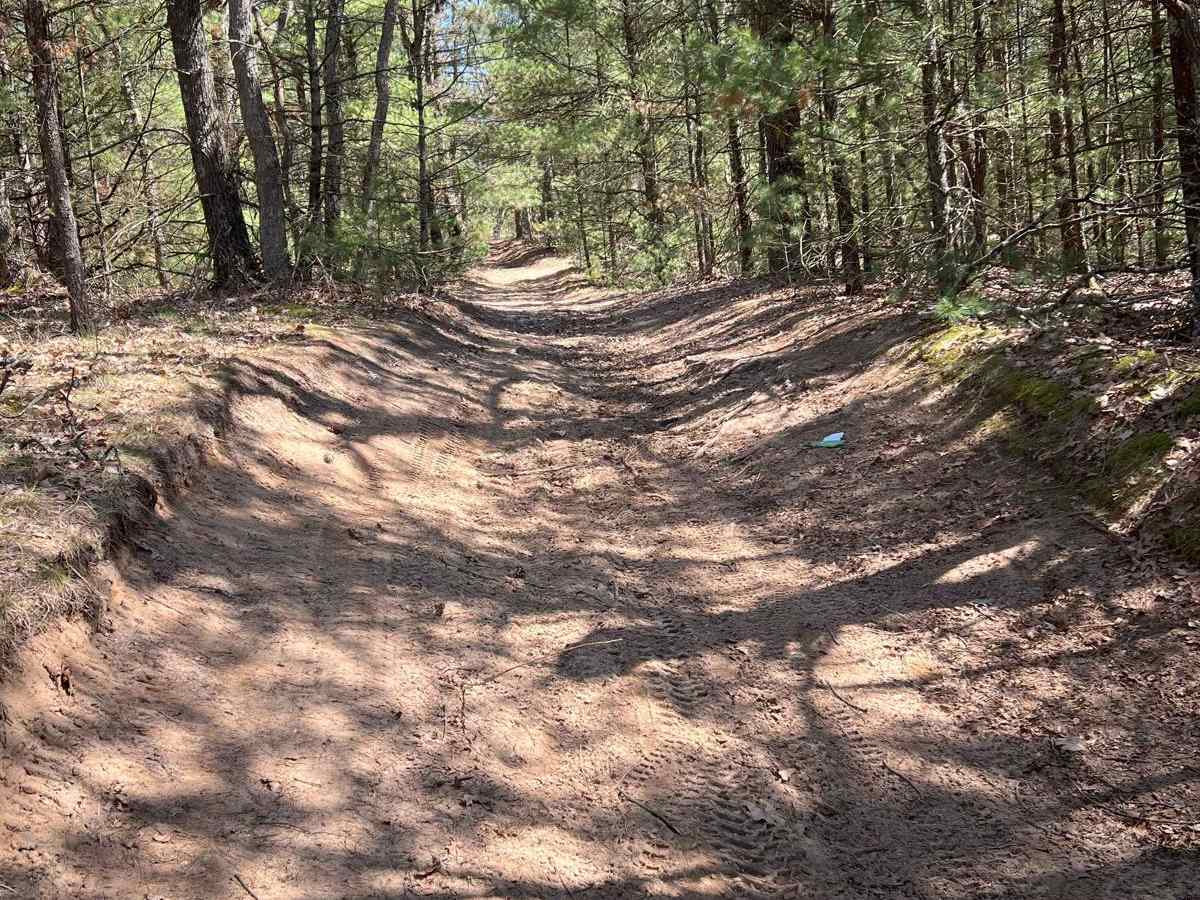 NFS 9847 trail photo