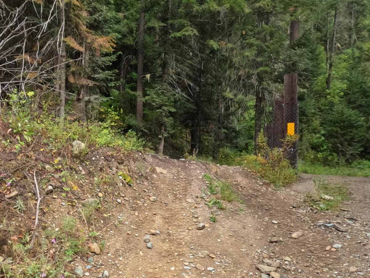 Little Joe Road photo 6