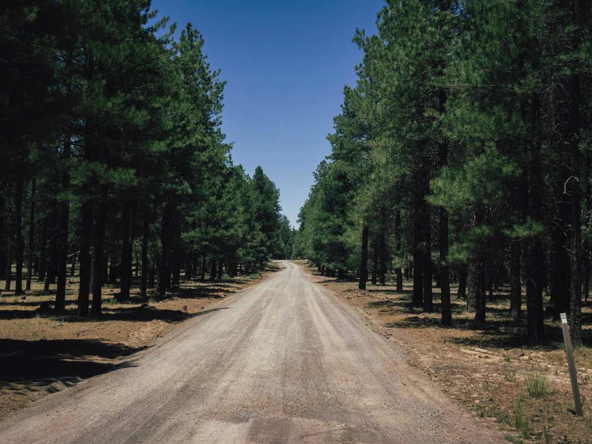 Frenchy Springs Road trail photo