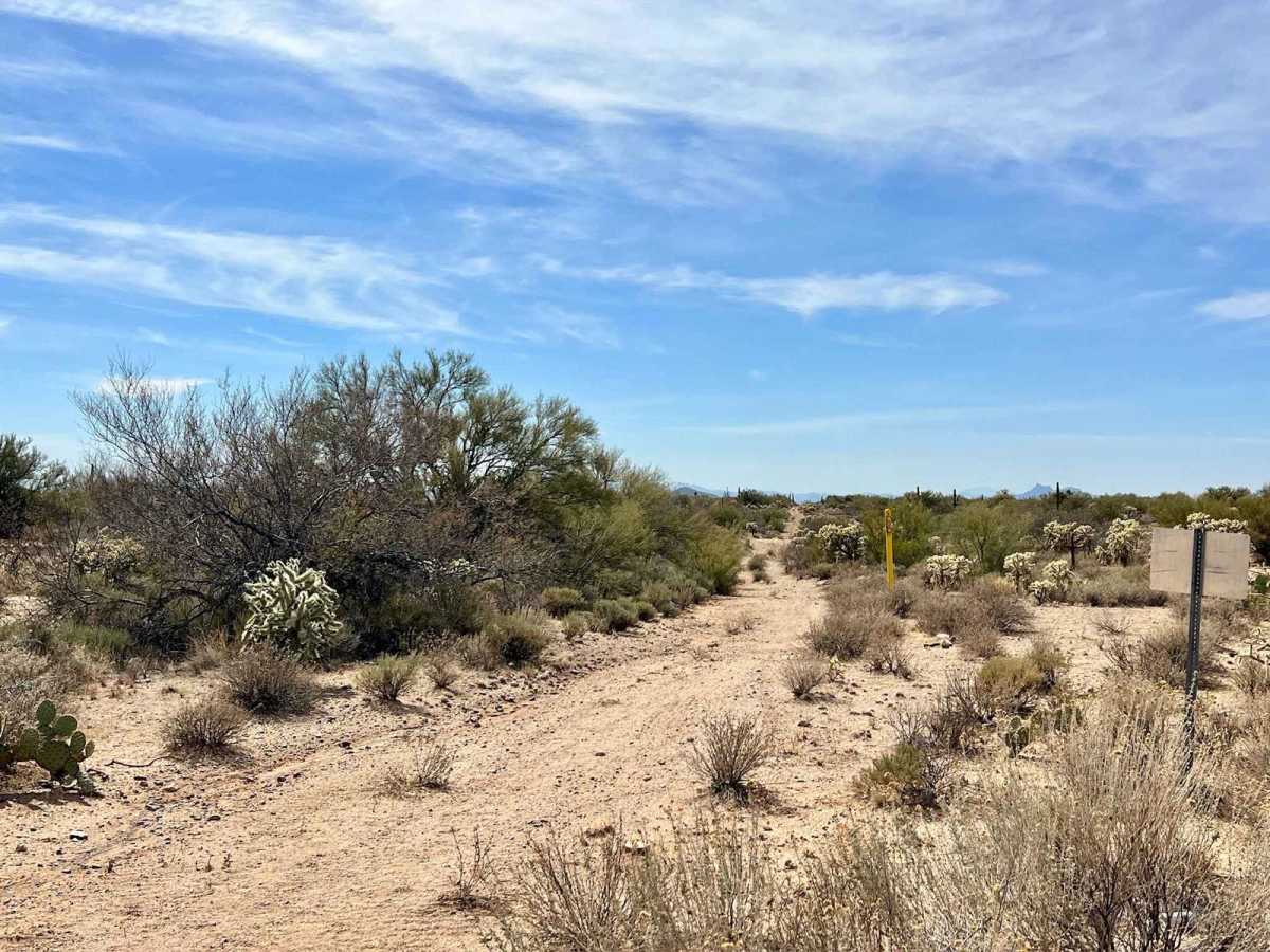 Freeman Pipeline Trail photo 5