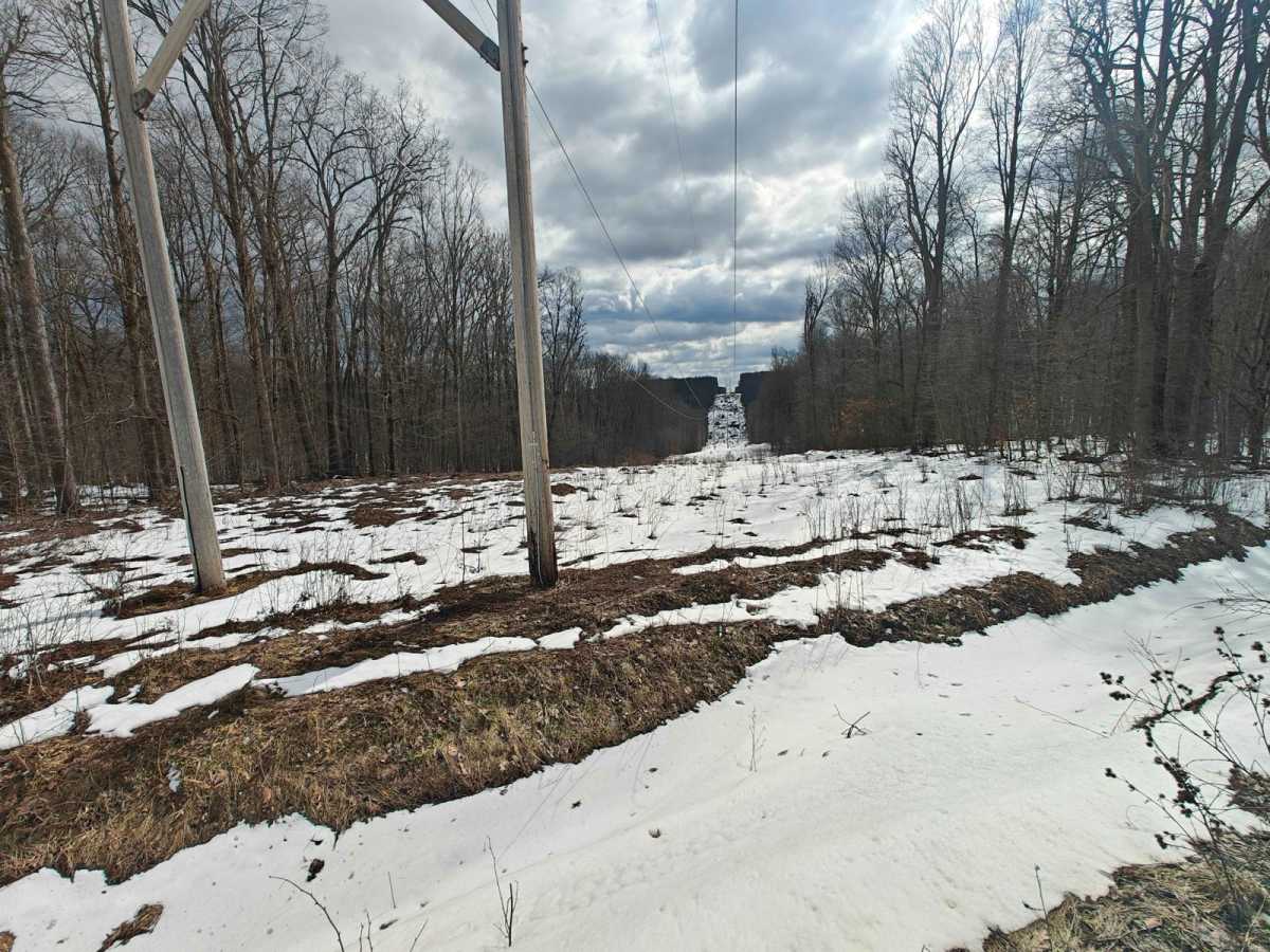 Dispersed Camping Road - FSR 259 photo 4