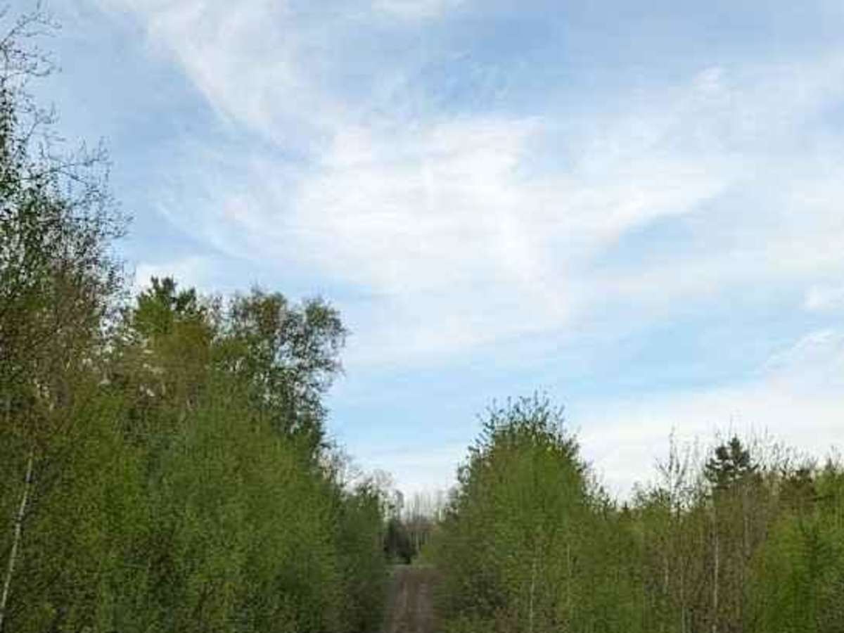 Douglas Pit Ascent photo 3