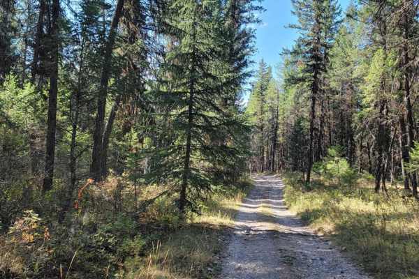 Wasa Sheep Creek Road