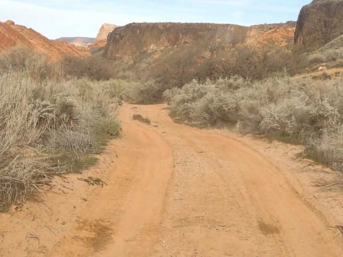 Red Cliffs Rec Area to Virgin River photo 4