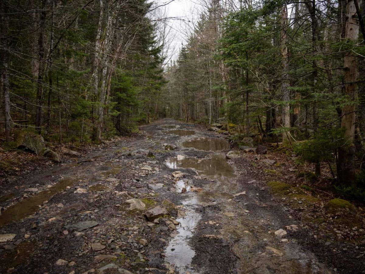 Crooked Creek Trail photo 5