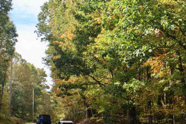 Sugarloaf to Flat Rock Trail