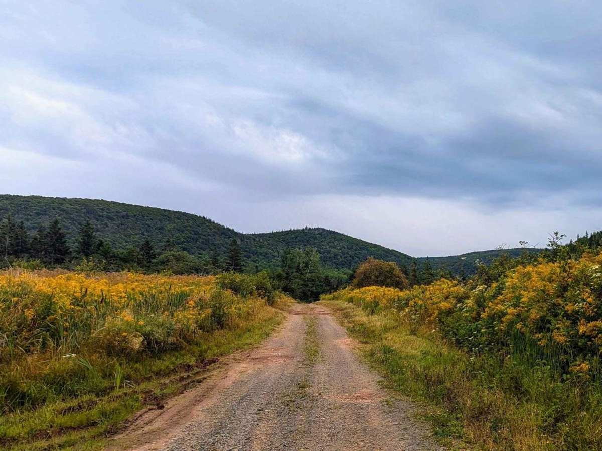 Dunmaglass-McArras Brook Road trail photo