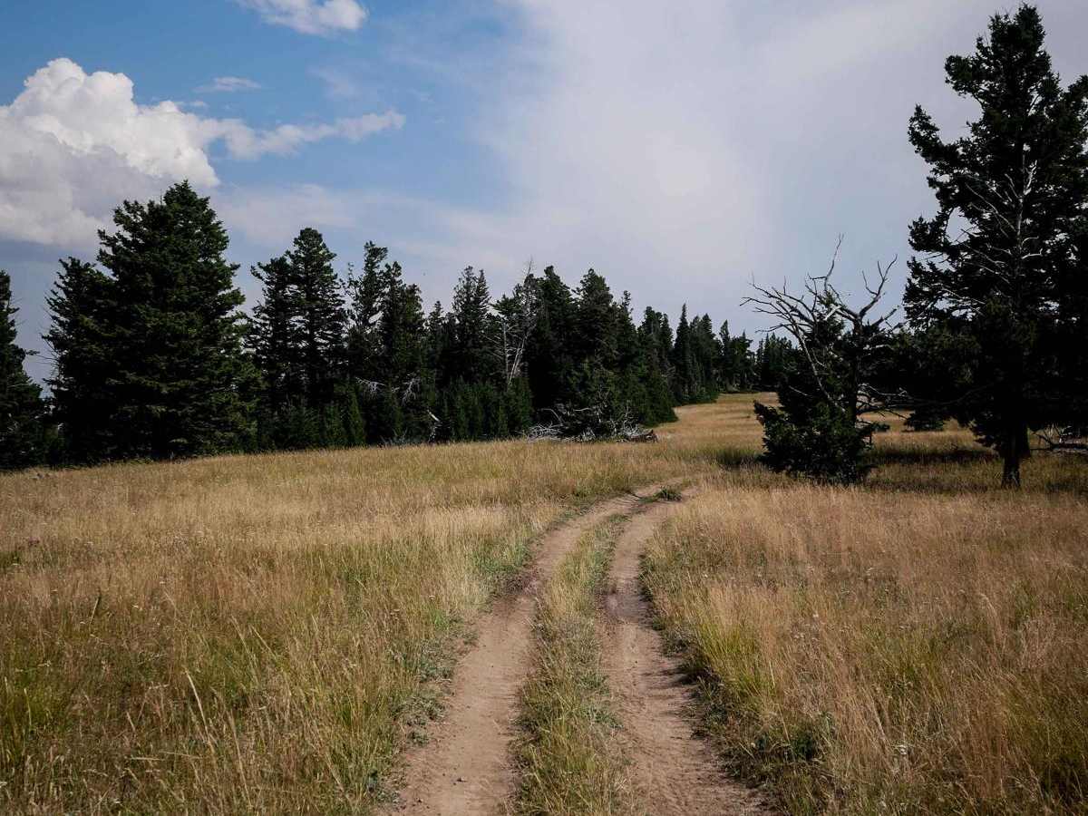 Jackson Creek ATV trail photo