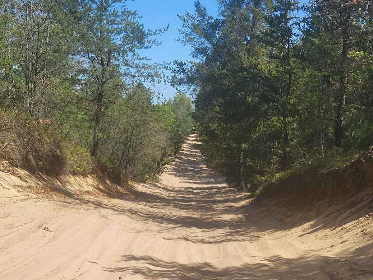 St. Helen ORV Route - North photo 3