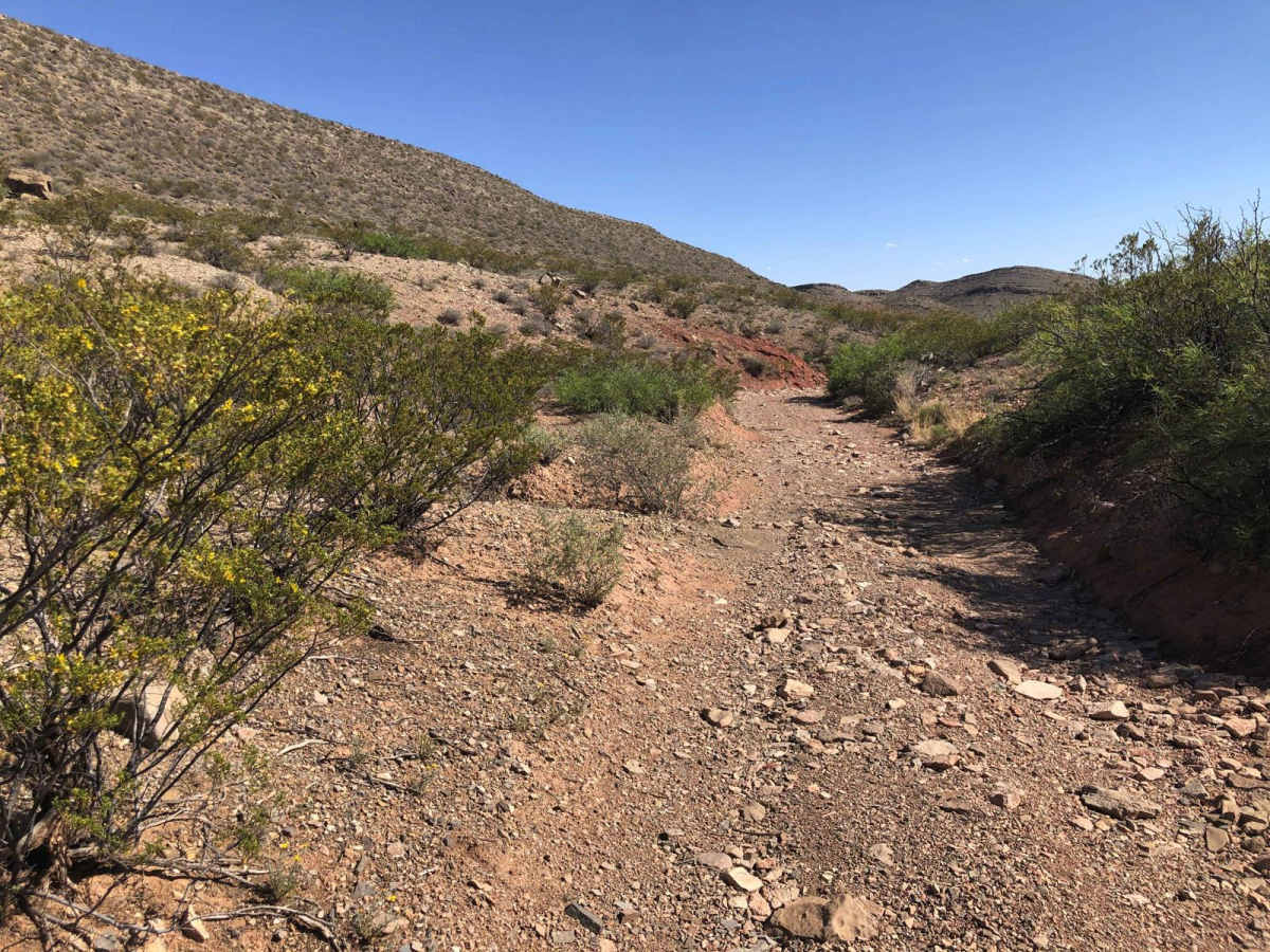 Coyote Exit photo 4