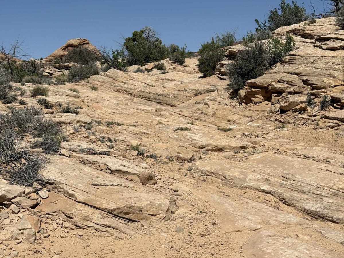 East Horseshoe Canyon trail photo