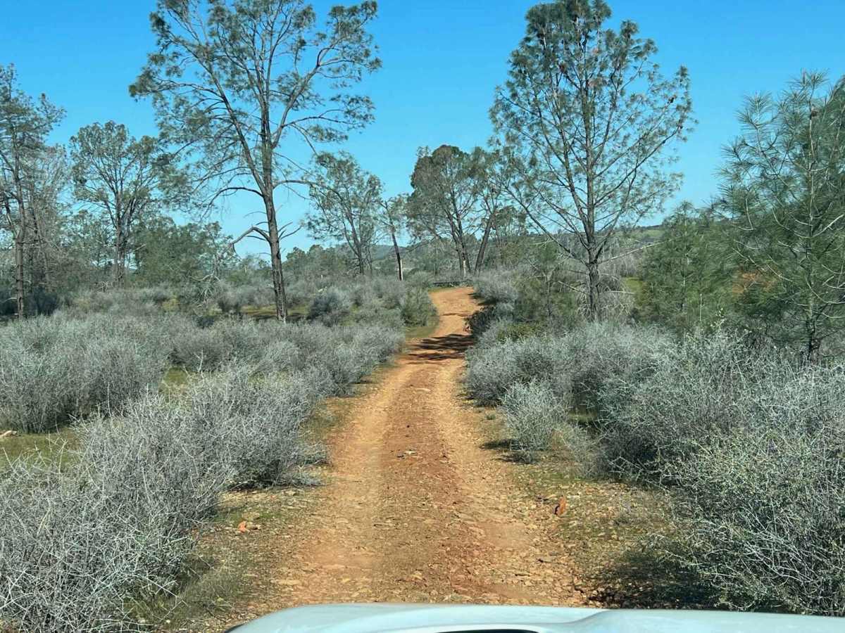 Red Hills Road/Serpentine loop photo 4