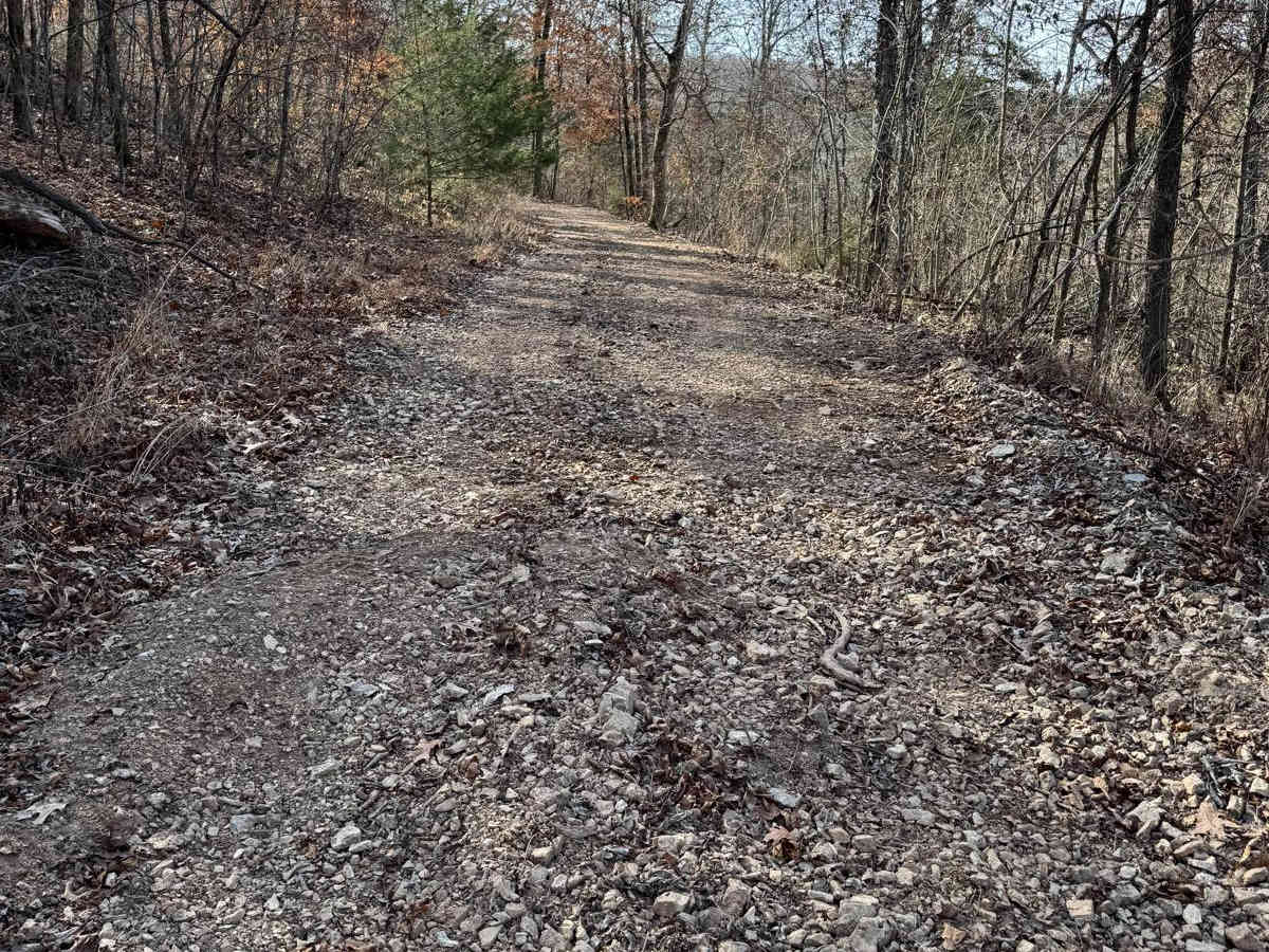 Green 247 trail photo