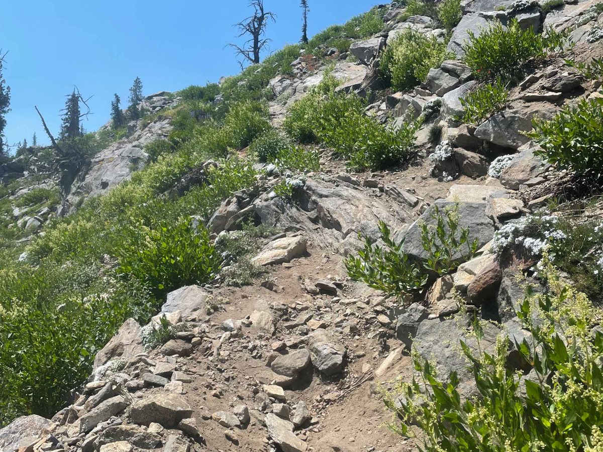 Grass Mountain Singletrack trail photo
