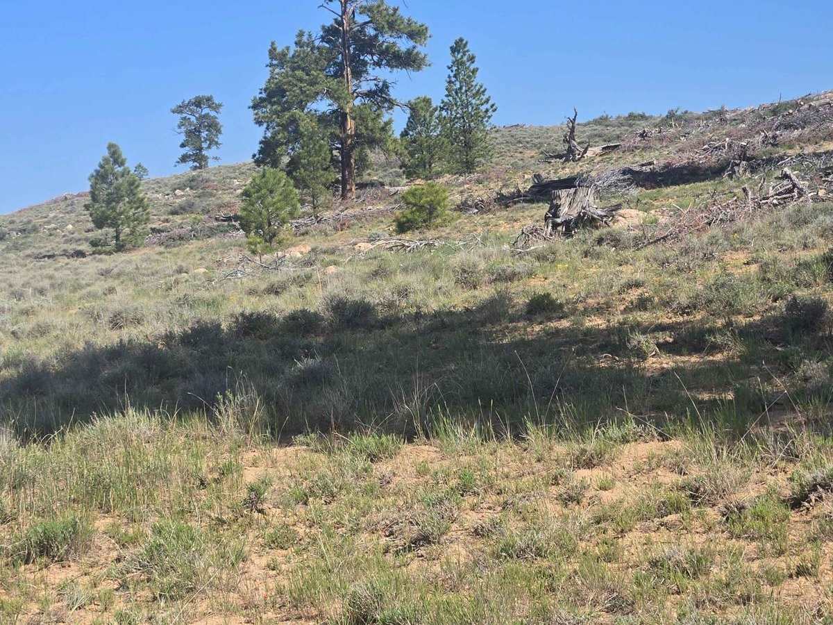 Gussie Draw Trail photo 6