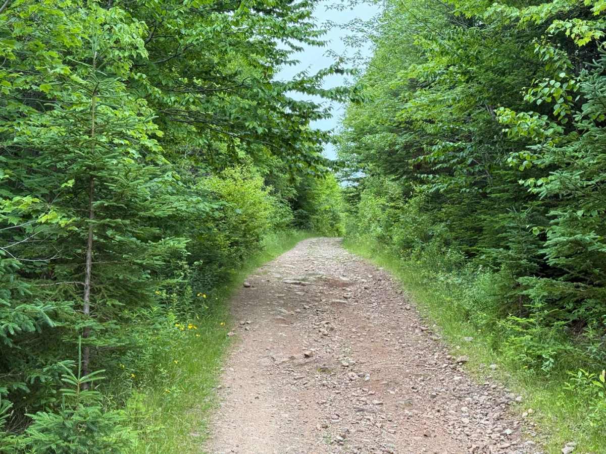 Lewis Mountain Road photo 5