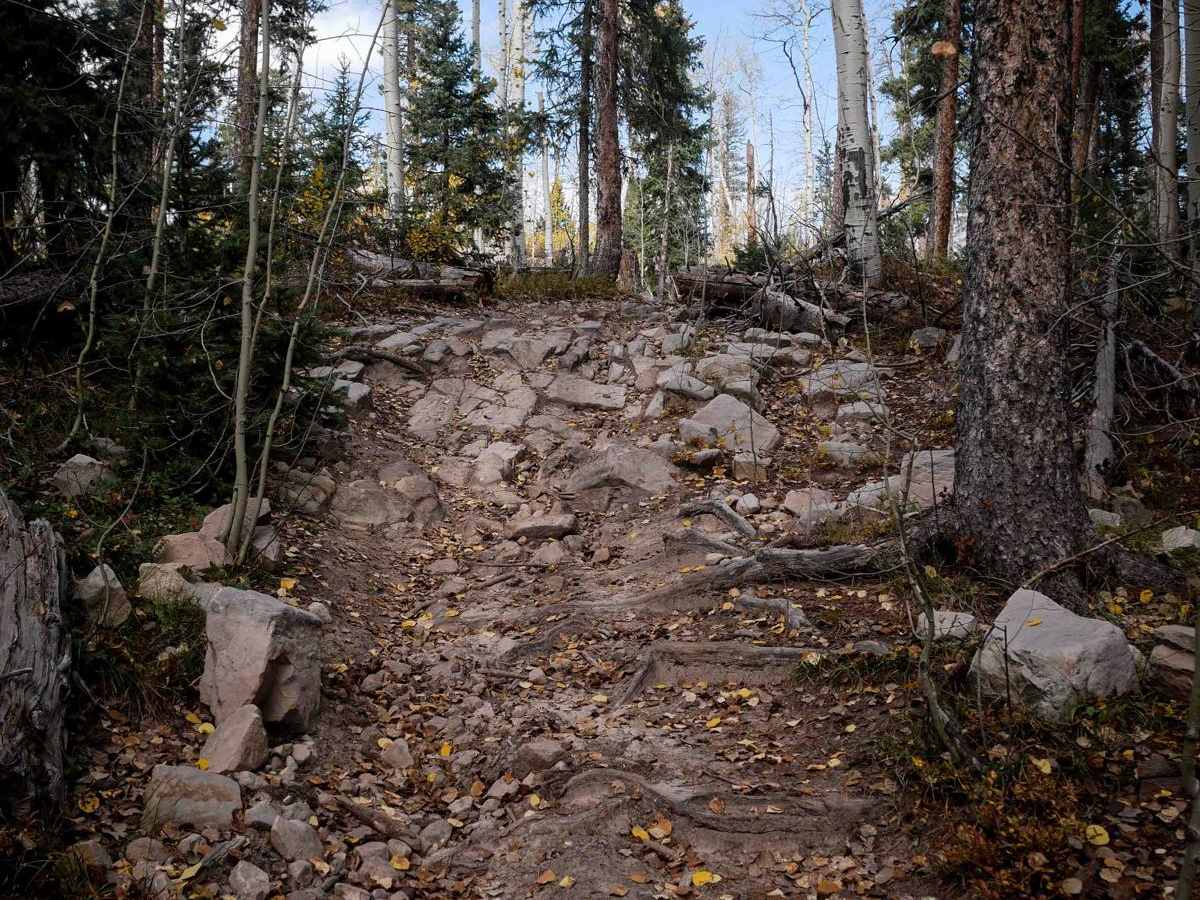 Middle Mountain photo 2